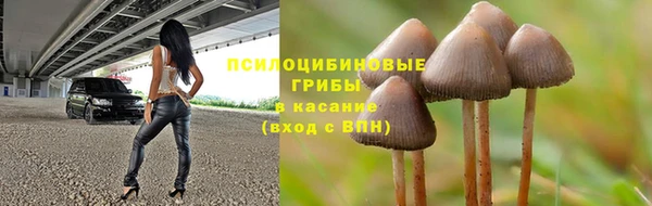 каннабис Инта