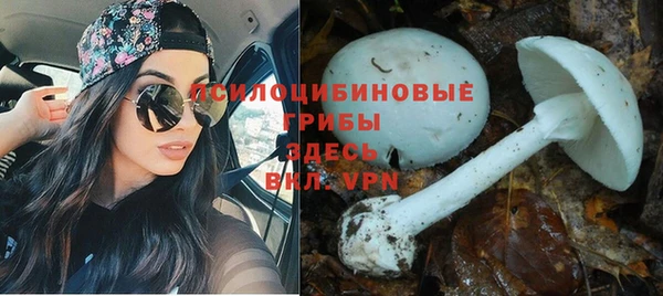 каннабис Инта