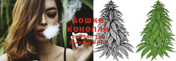 ПСИЛОЦИБИНОВЫЕ ГРИБЫ Иннополис