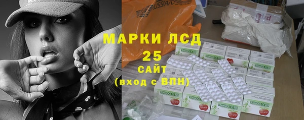 Альфа ПВП Инсар