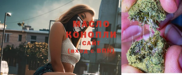 Альфа ПВП Инсар