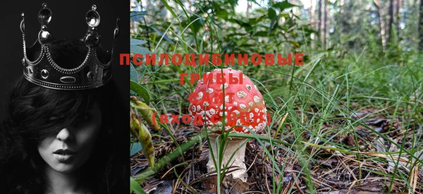 мескалин Зеленодольск
